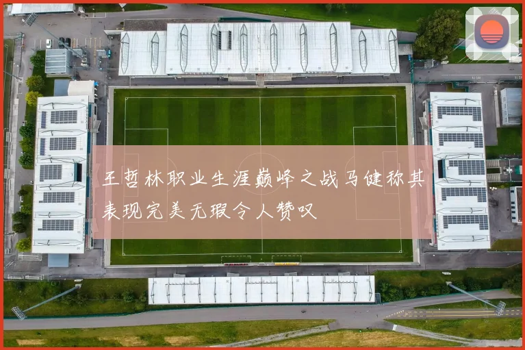 王哲林职业生涯巅峰之战马健称其表现完美无瑕令人赞叹
